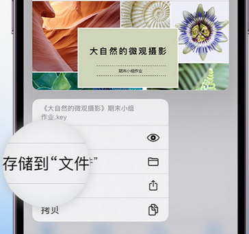 二七apple维修中心分享iPhone文件应用中存储和找到下载文件