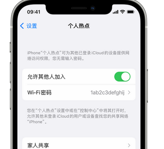 二七apple服务站点分享iPhone上个人热点丢失了怎么办 