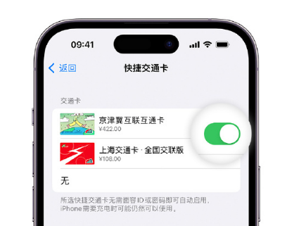 二七apple维修点分享iPhone上更换Apple Pay快捷交通卡手绘卡面 