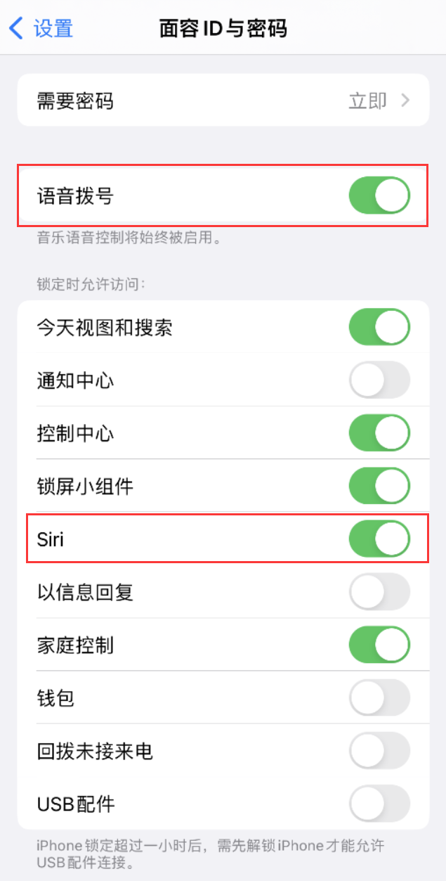 二七苹果维修网点分享不解锁 iPhone 的情况下通过 Siri 拨打电话的方法 