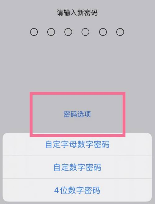 二七苹果14维修分享iPhone 14plus设置密码的方法 