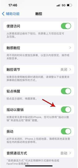 二七苹果手机维修分享iPhone手机如何设置摇一摇删除文字 