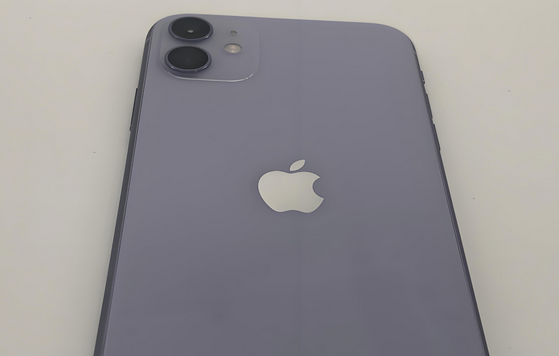 二七苹果11系统维修分享iPhone11手机系统崩溃无法开机如何解决 